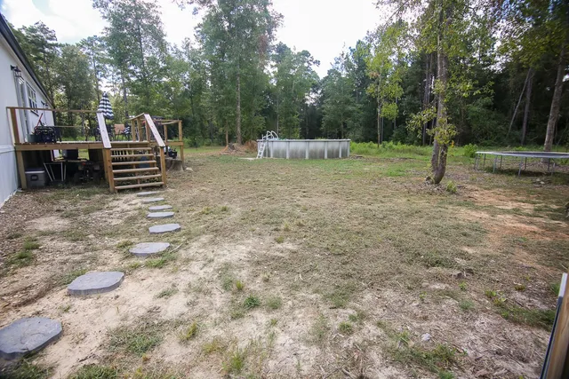 a view of a park with large trees