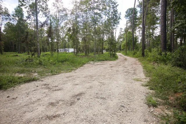 a view of a road with trees in the background