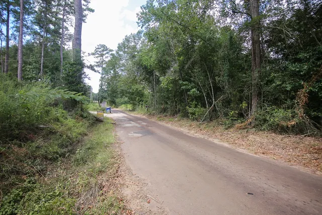 a view of a dirt road with trees in the background