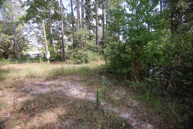 a view of a lake with lots of trees