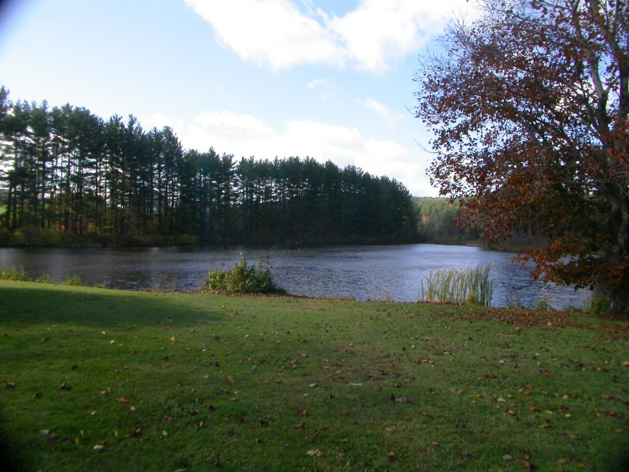Brewer Hill Rd Road Southfield, MA 01259 - Photo 1 of 2 Pond