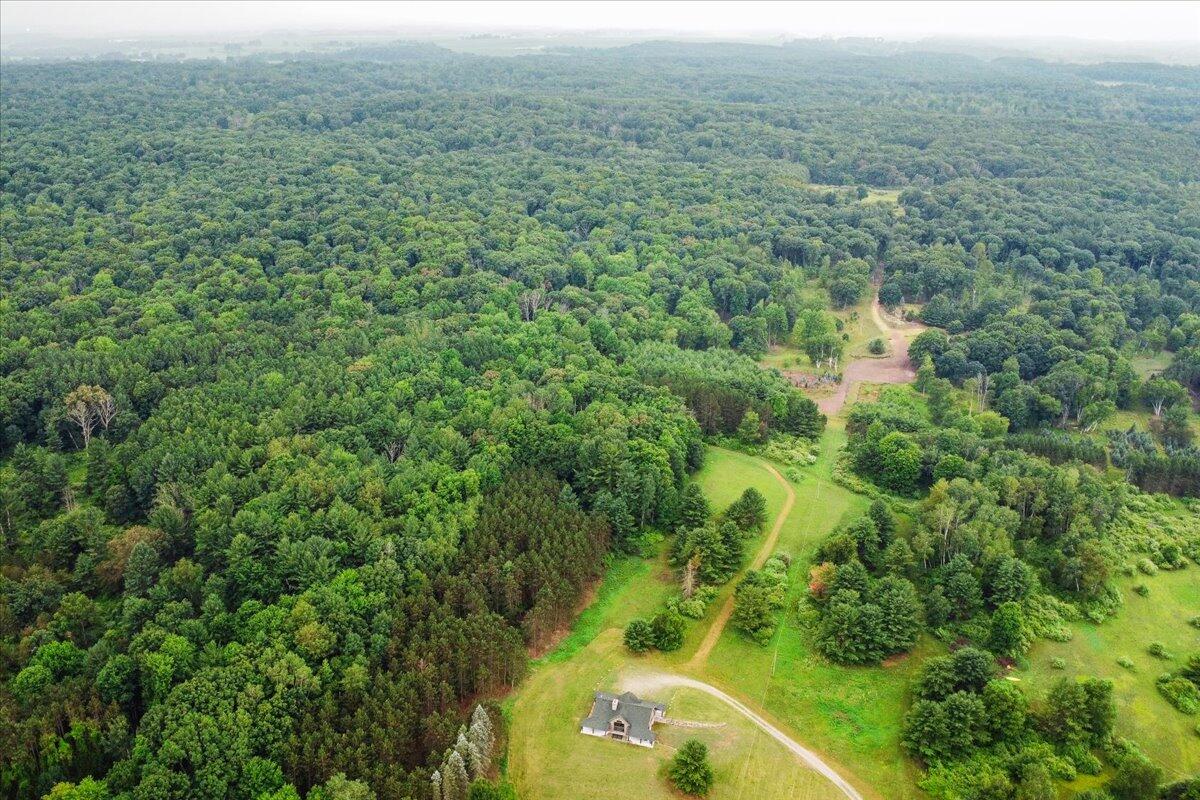101 North Wyman Road Remus, MI 49340 - Photo 46 of 51 48-DJI_0425