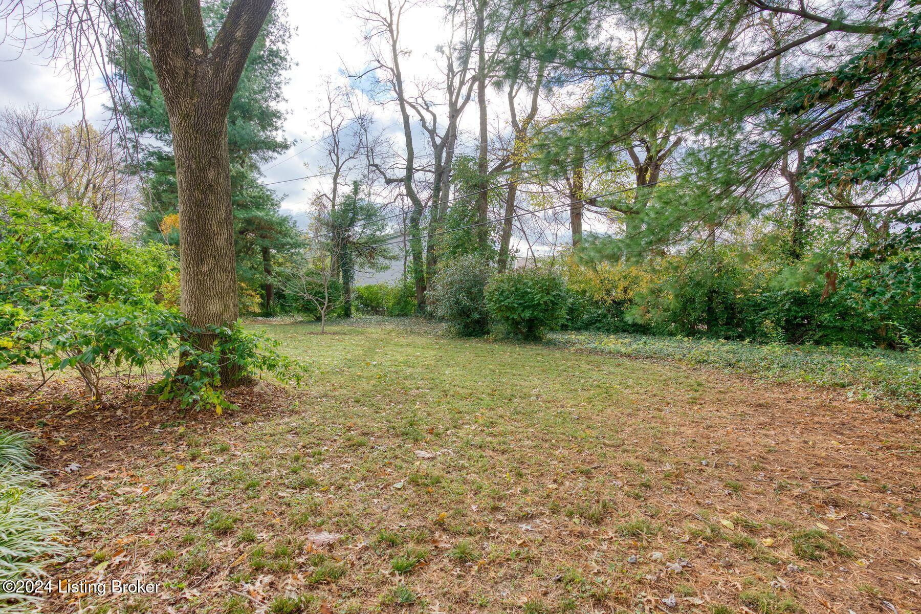 808 Huntington Road Louisville, KY 40207 - Photo 35 of 38 photo_online_035