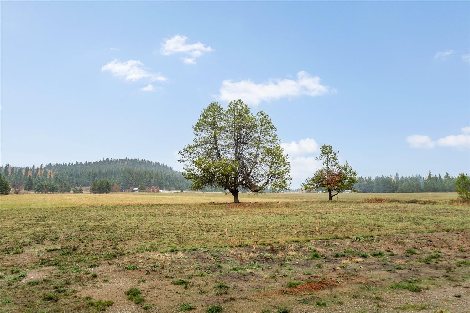 3620 West Oregon Road Deer Park, WA 99006 - Photo 36 of 50