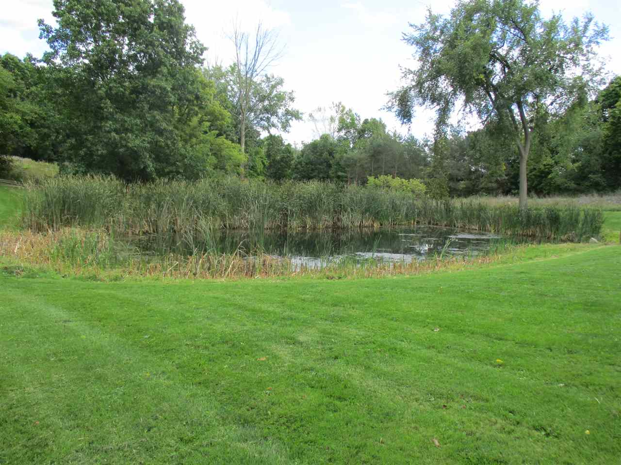 9425 Byam Road Bancroft, MI 48414 - Photo 55 of 61 31304158-54.JPG