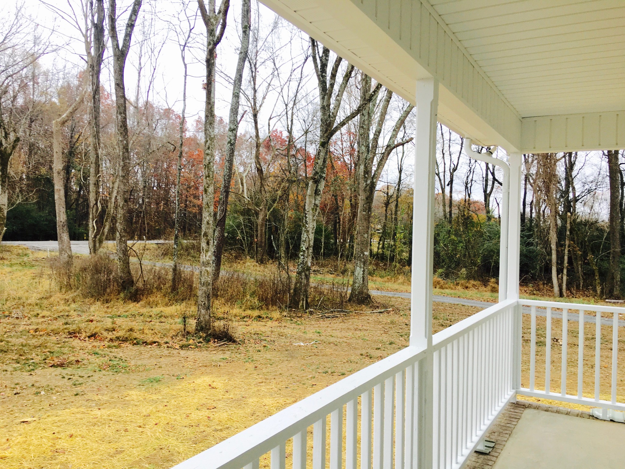 152 Limestone Road Elora, TN 37328 - Photo 11 of 18 a view of swimming pool with a trees