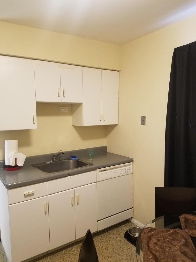 10037 Frontage Road, Unit D Skokie, IL 60077 - Photo 6 of 14