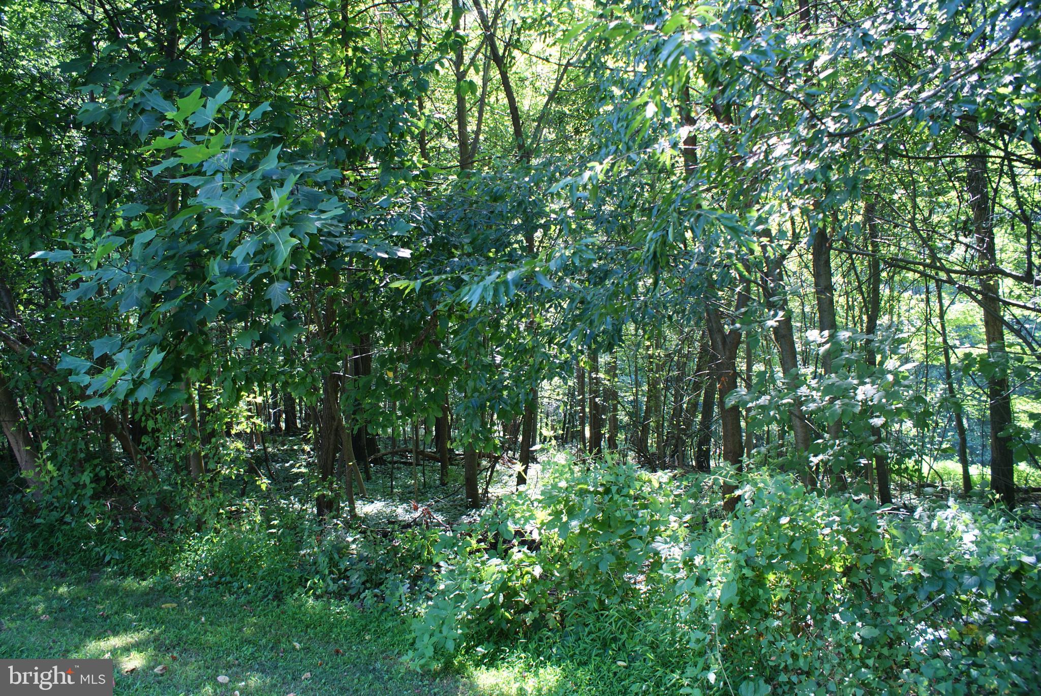 4986 Wentz Road Manchester, MD 21102 - Photo 8 of 42 Property backs to farmland preservation