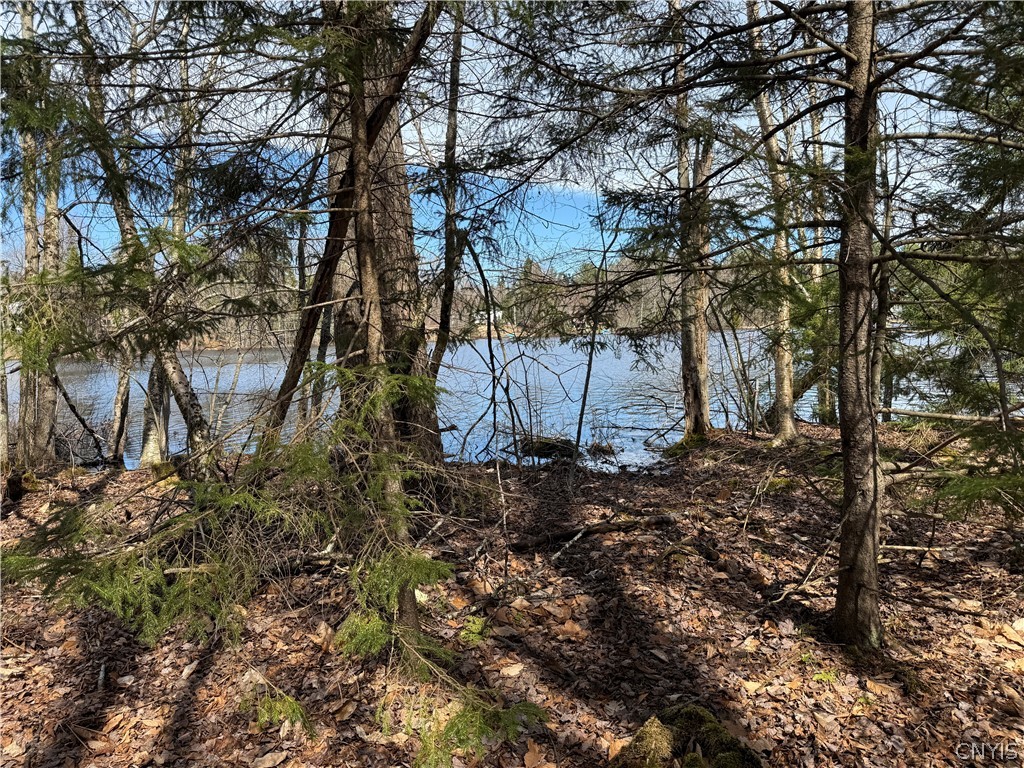 Lot 21 Deep Lake Road Forestport, NY 13338 - Photo 10 of 37