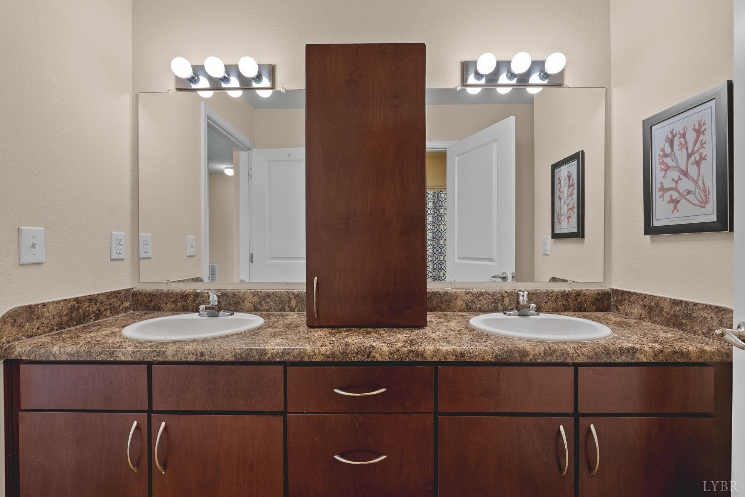 1600 Wards Ferry Road, Unit 704 Lynchburg, VA 24502 - Photo 22 of 49 a bathroom with a granite countertop sink and a mirror