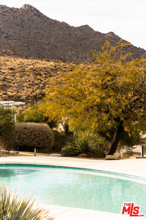 57425 Palm Seco Circle Mountain Center, CA 92561 - Photo 44 of 61