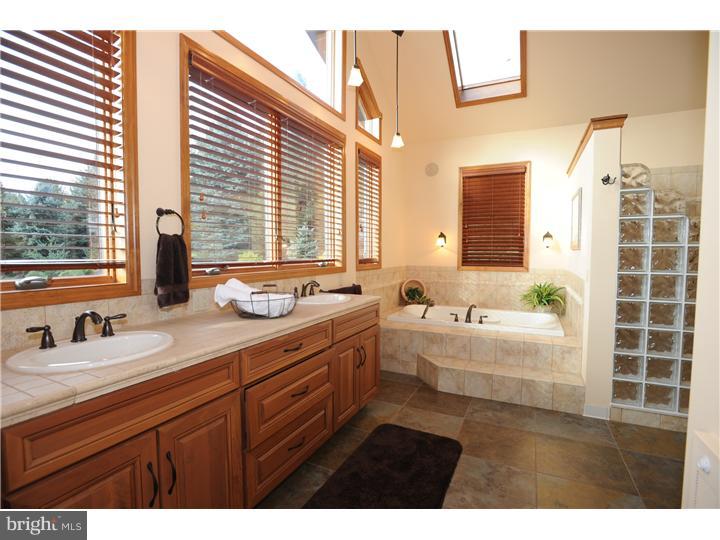 3511 Timber Lane Slatington, PA 18080 - Photo 11 of 25 Master Bathroom