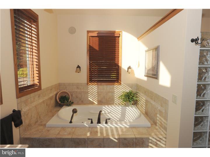 3511 Timber Lane Slatington, PA 18080 - Photo 10 of 25 Master Bathroom