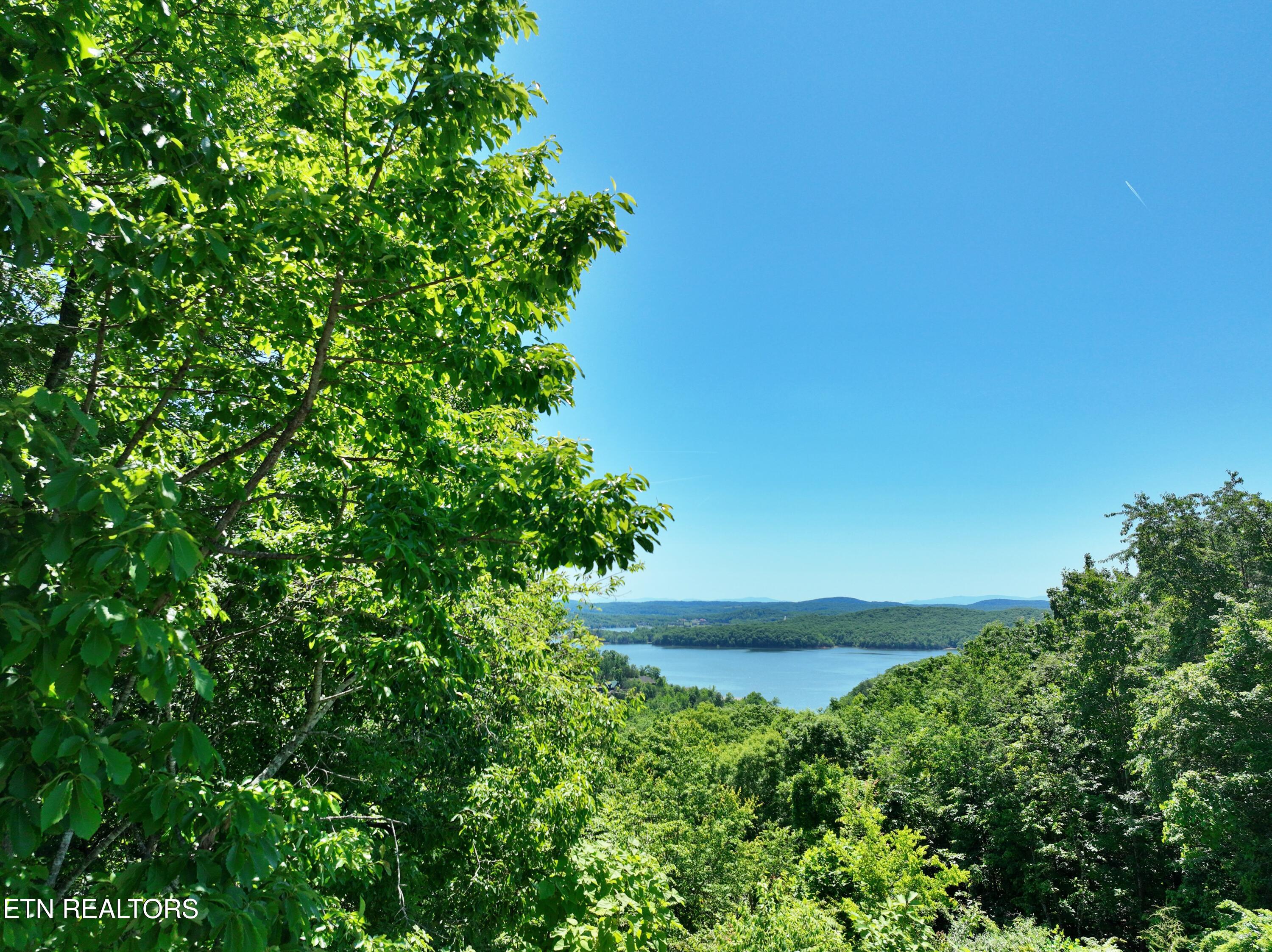0 Flint Ridge Road Rockwood, TN 37854 - Photo 27 of 37 DJI_0610