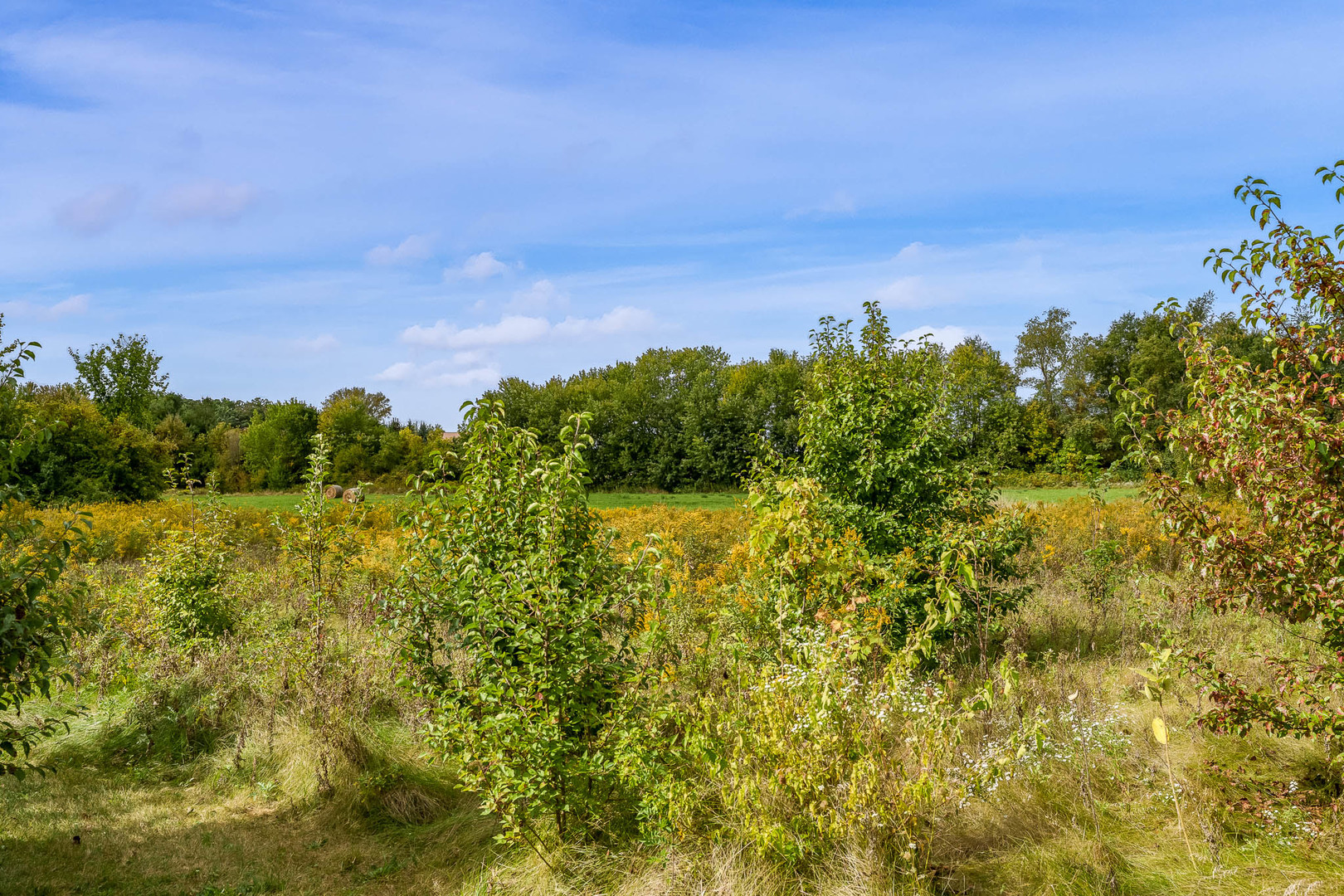 8551-8589 Rote Road Rockford, IL 61107 - Photo 79 of 89