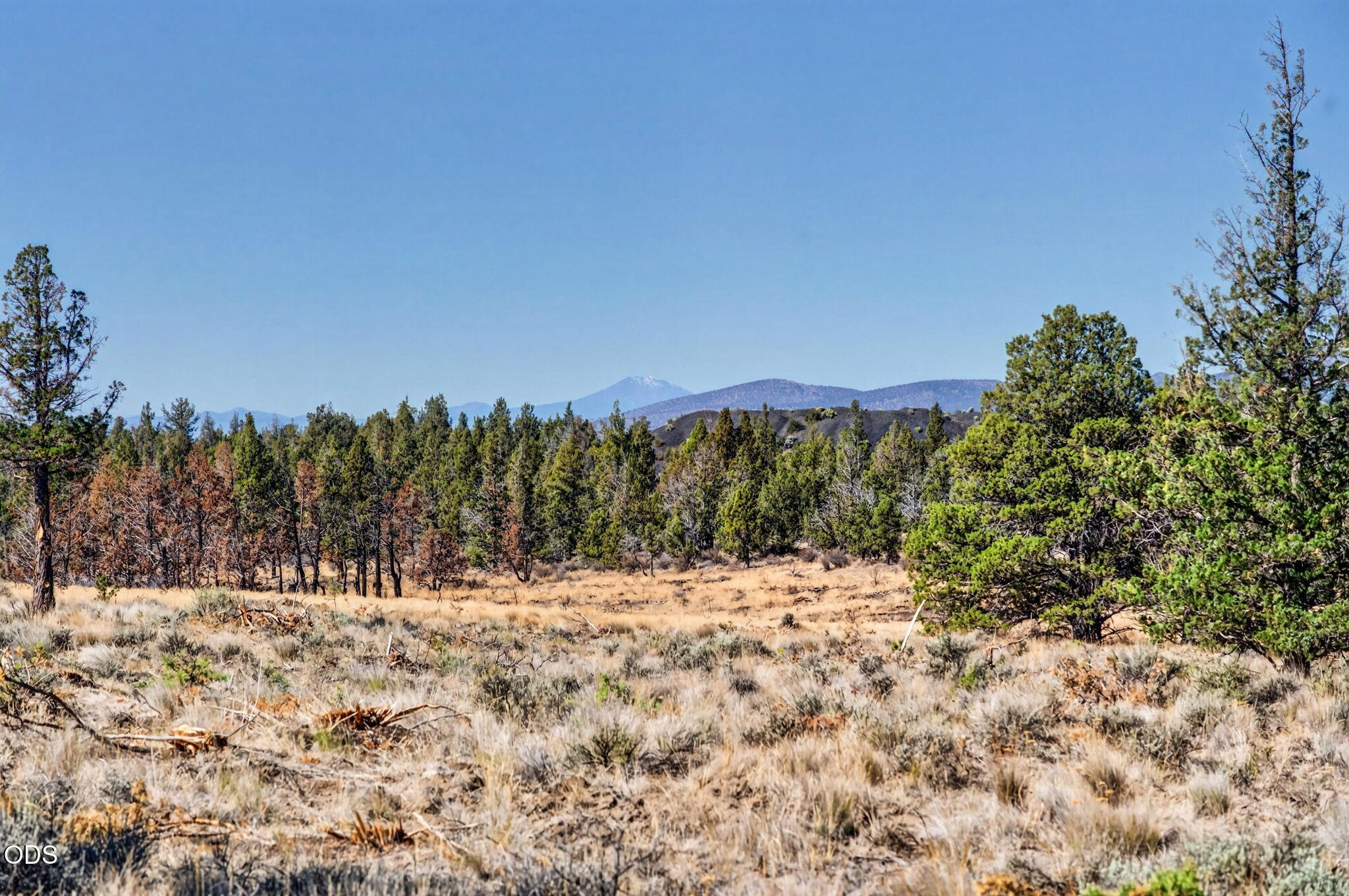 Southeast Laredo Road Prineville, OR 97754 - Photo 5 of 23 Gallery Image 5