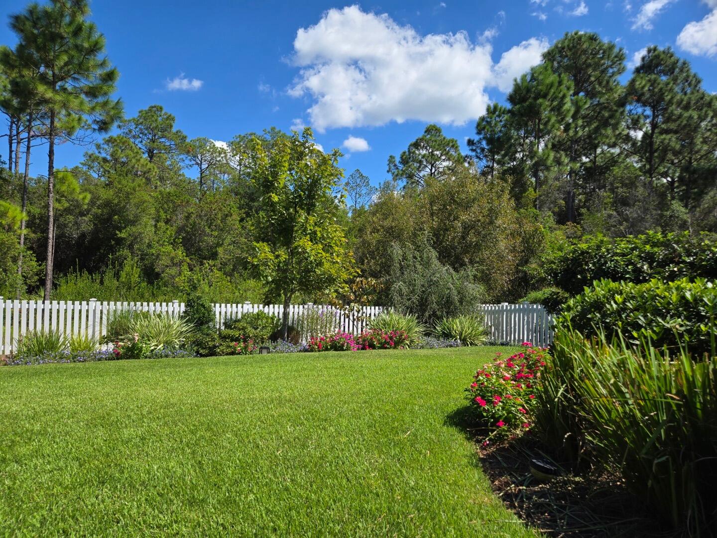 95 Log Landing St Inlet Beach Inlet Beach, FL 32461 - Photo 41 of 59 a view of a park with large trees and plants