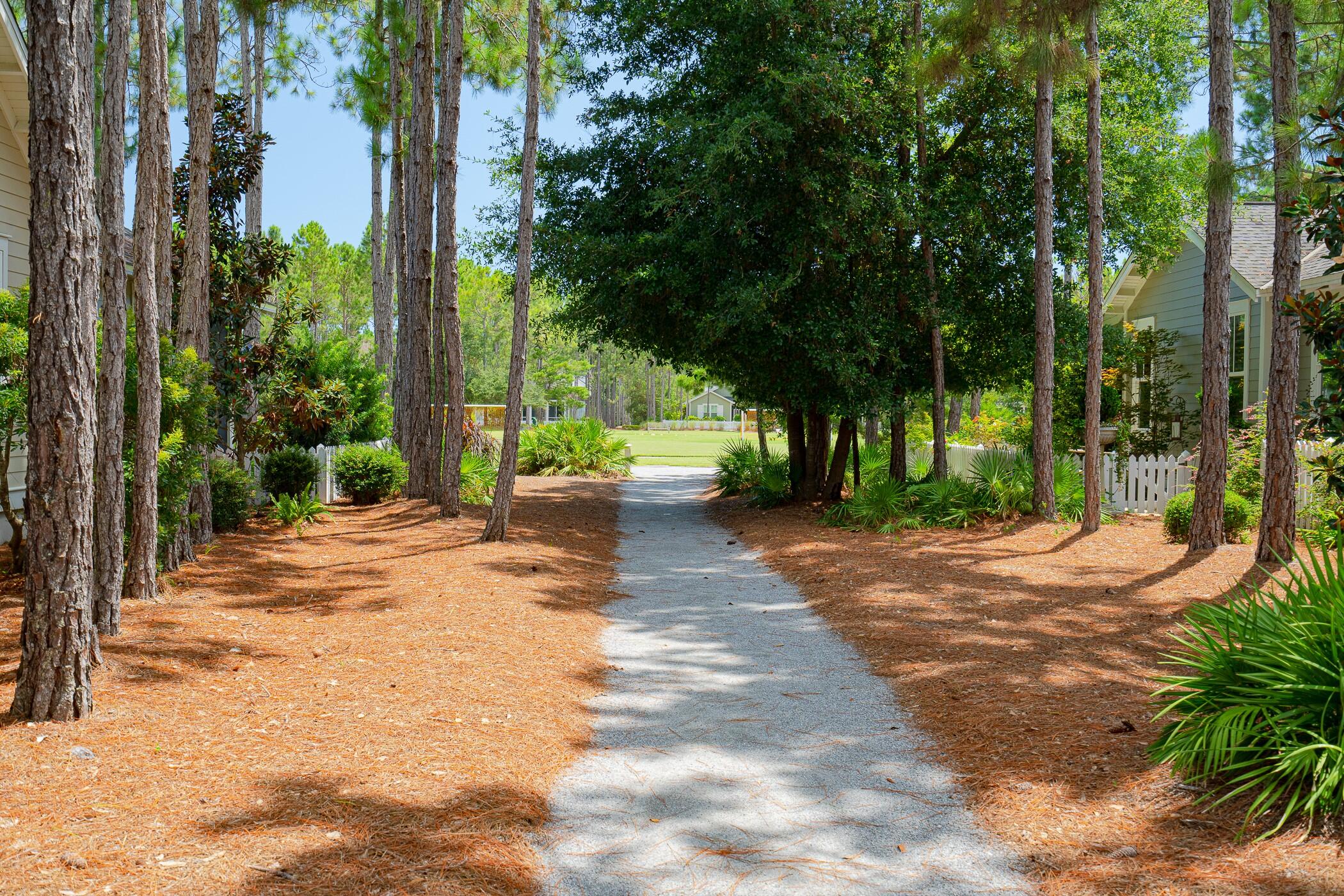 95 Log Landing St Inlet Beach Inlet Beach, FL 32461 - Photo 52 of 59 a view of a yard with plants and trees