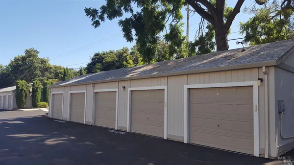 a view of park with tree s