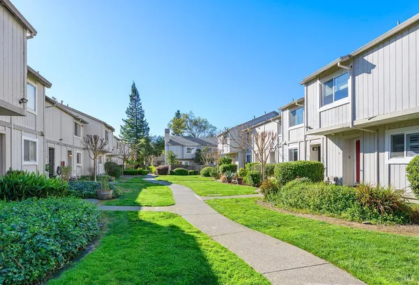 a view of a park with plants and trees
