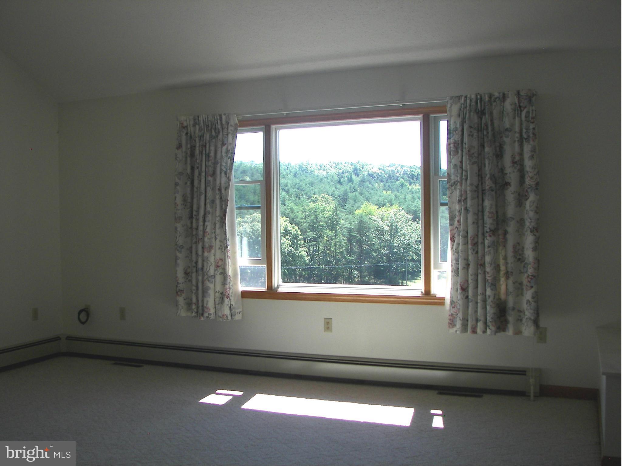 2483 Potomac Road Berkeley Springs, WV 25411 - Photo 12 of 30 a view of a room that has a window