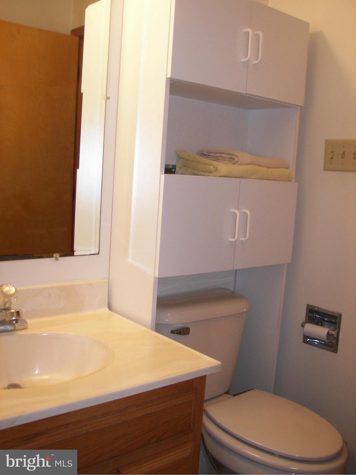 2483 Potomac Road Berkeley Springs, WV 25411 - Photo 19 of 30 a bathroom with a toilet a sink and mirror