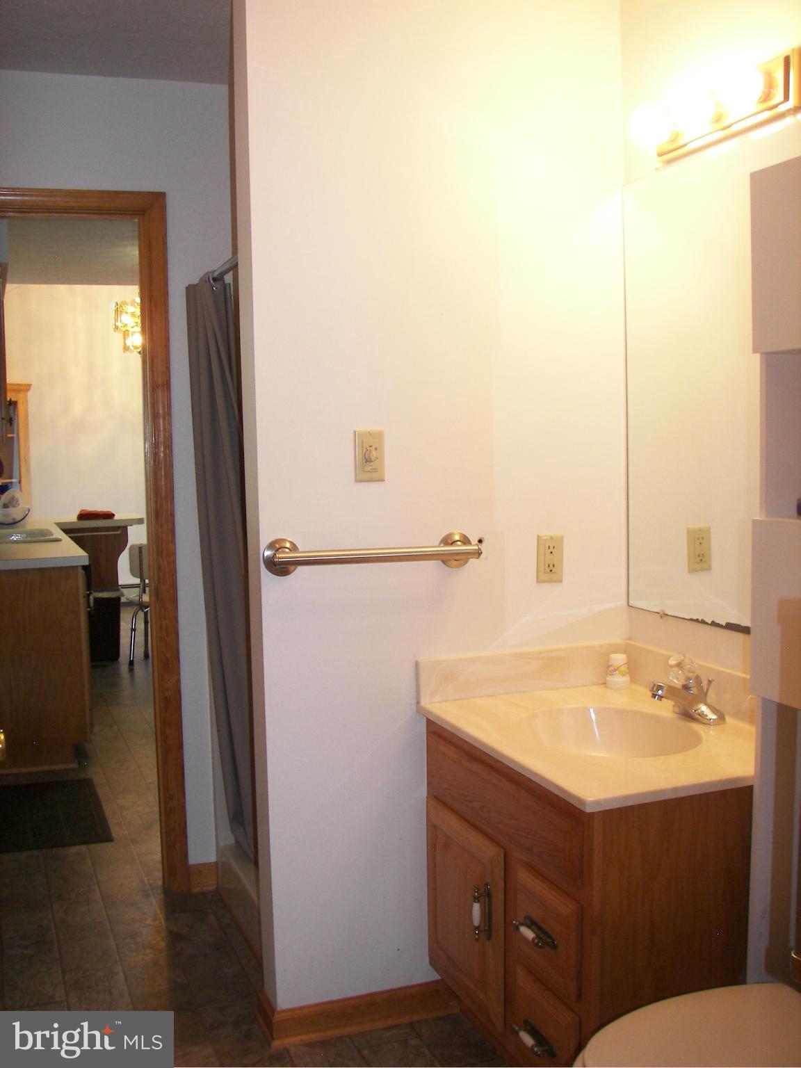 2483 Potomac Road Berkeley Springs, WV 25411 - Photo 20 of 30 a bathroom with a sink and a mirror