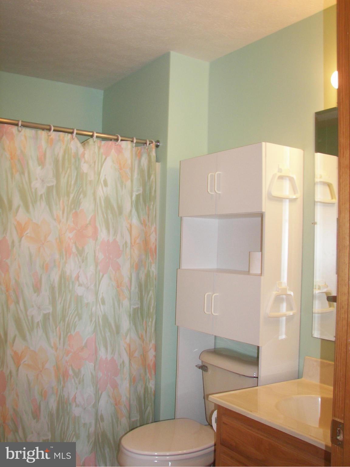 2483 Potomac Road Berkeley Springs, WV 25411 - Photo 21 of 30 a bathroom with a toilet and a shower