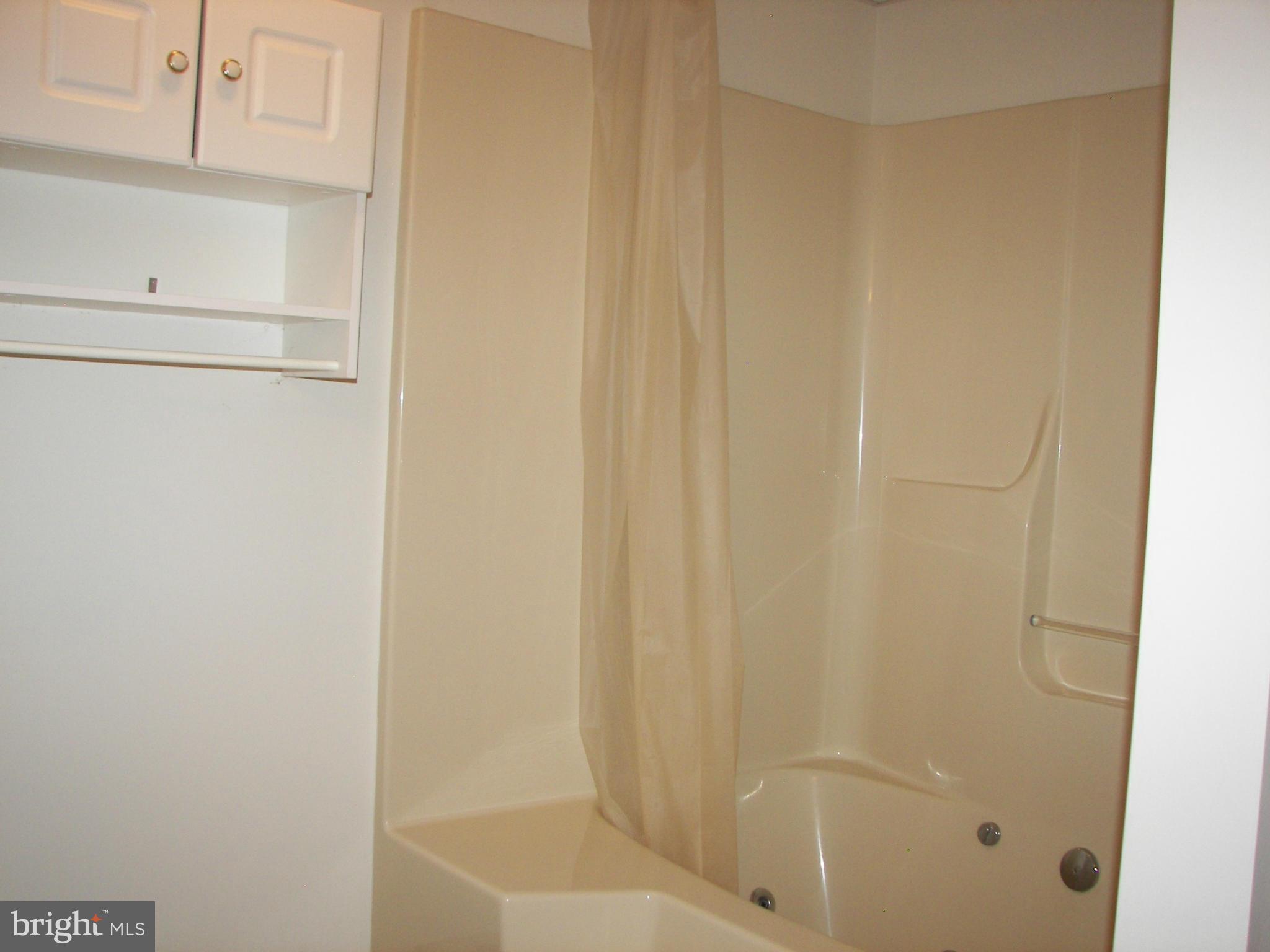 2483 Potomac Road Berkeley Springs, WV 25411 - Photo 25 of 30 a bathroom with a bathtub