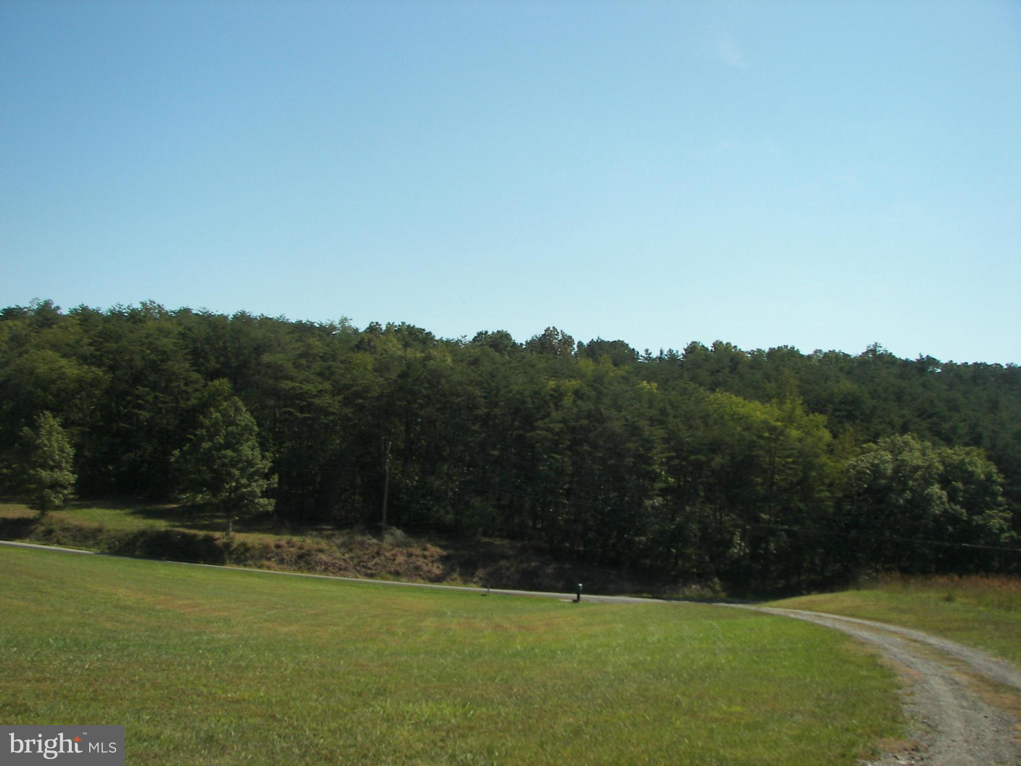 2483 Potomac Road Berkeley Springs, WV 25411 - Photo 29 of 30 a view of a green field with a tree