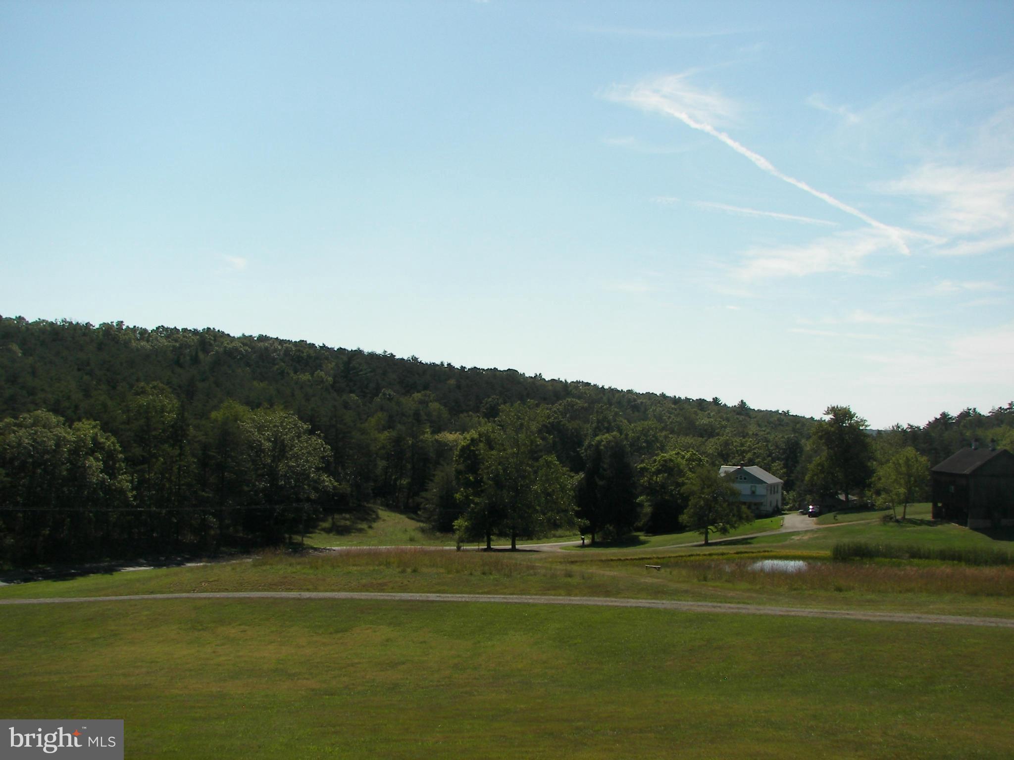 2483 Potomac Road Berkeley Springs, WV 25411 - Photo 7 of 30 a view of a grassy field with mountains in the background