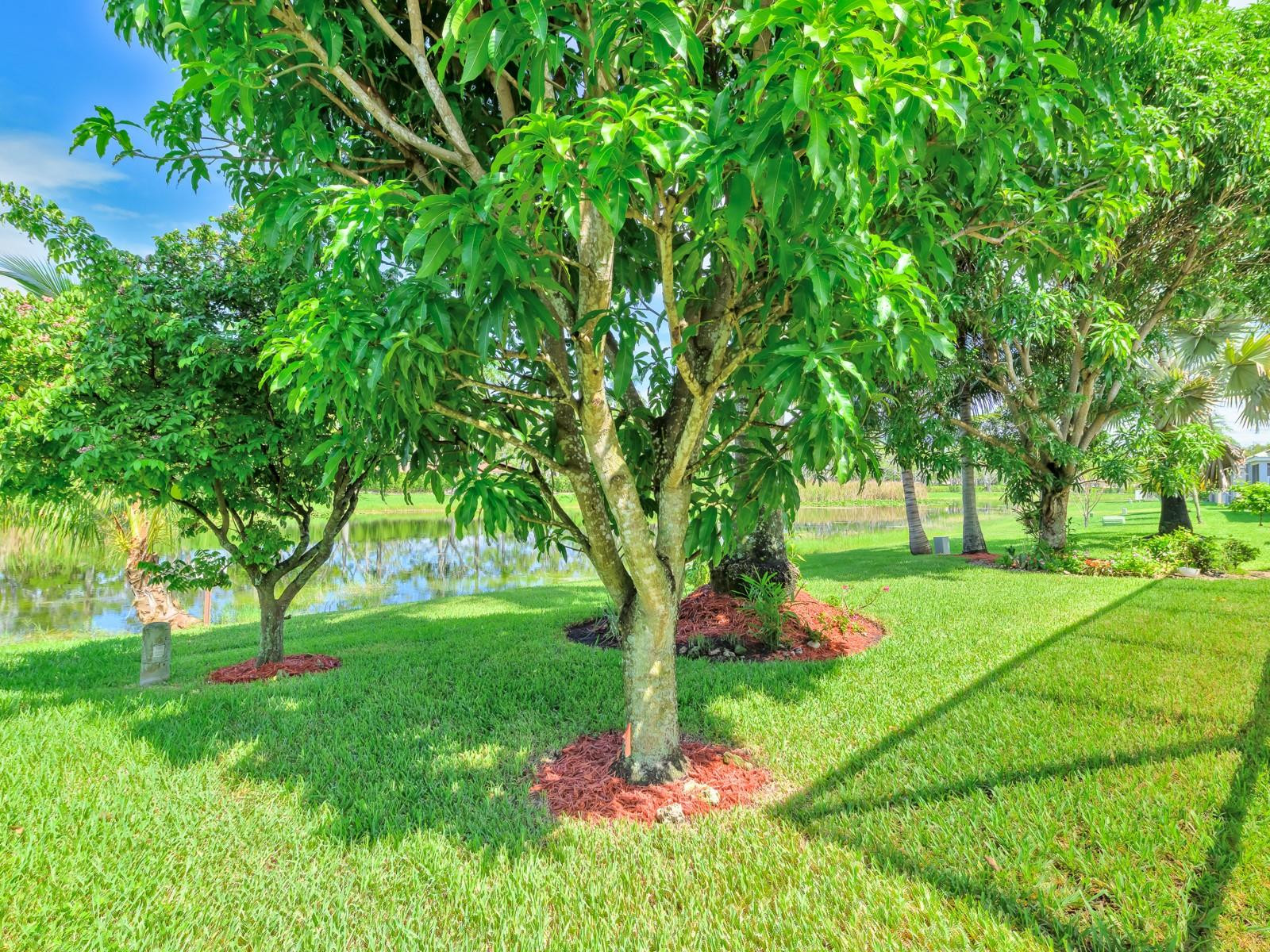 4032 Pinewood Lane Weston, FL 33331 - Photo 51 of 63 Photo 51