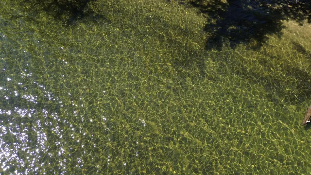 $274,000 | 81 Randall Drive, Weston, ME 04424