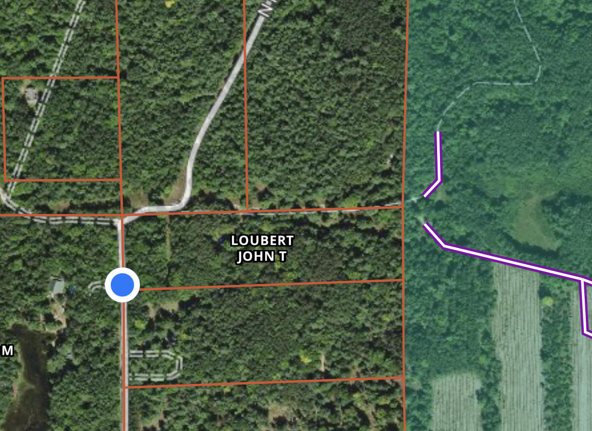 10081 East 5 Mile Road Luther, MI 49656 - Photo 3 of 22 IMG_7541