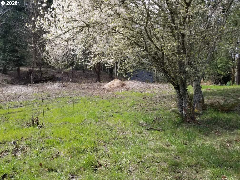 12439 Northwest Laidlaw Road Portland, OR 97229 - Photo 14 of 14 Gallery Image 14