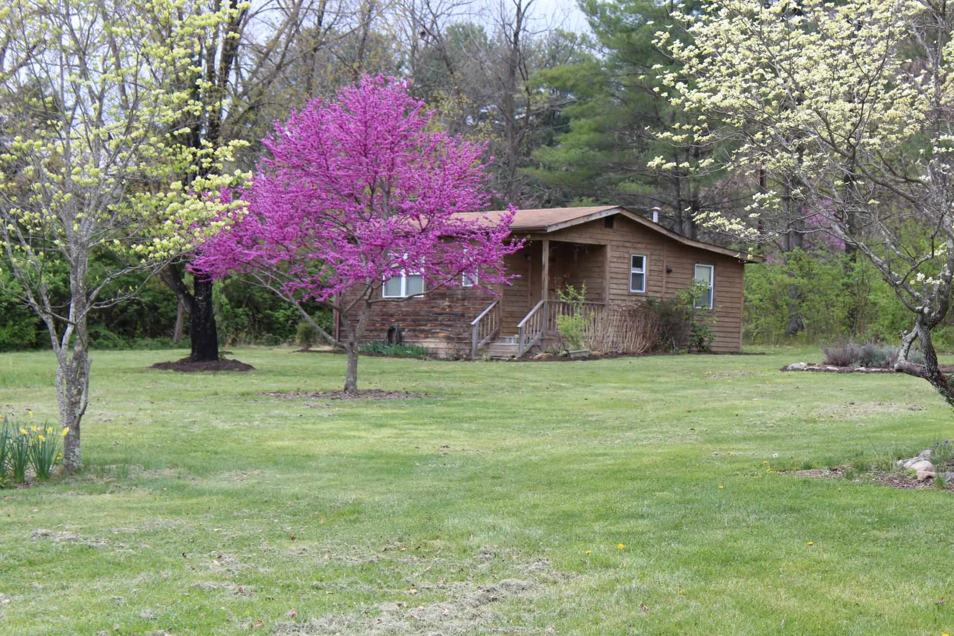 1076 Fort Valley Road Fort Valley, VA 22652 - Photo 3 of 54 a front view of a house with a garden