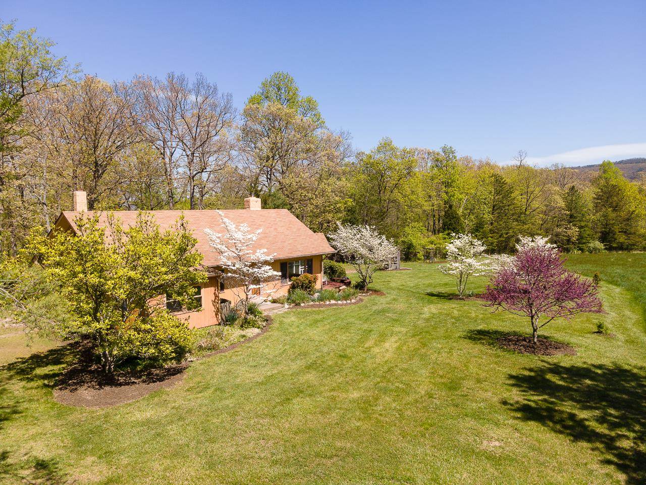 1076 Fort Valley Road Fort Valley, VA 22652 - Photo 44 of 54 a view of yard with swimming pool and trees