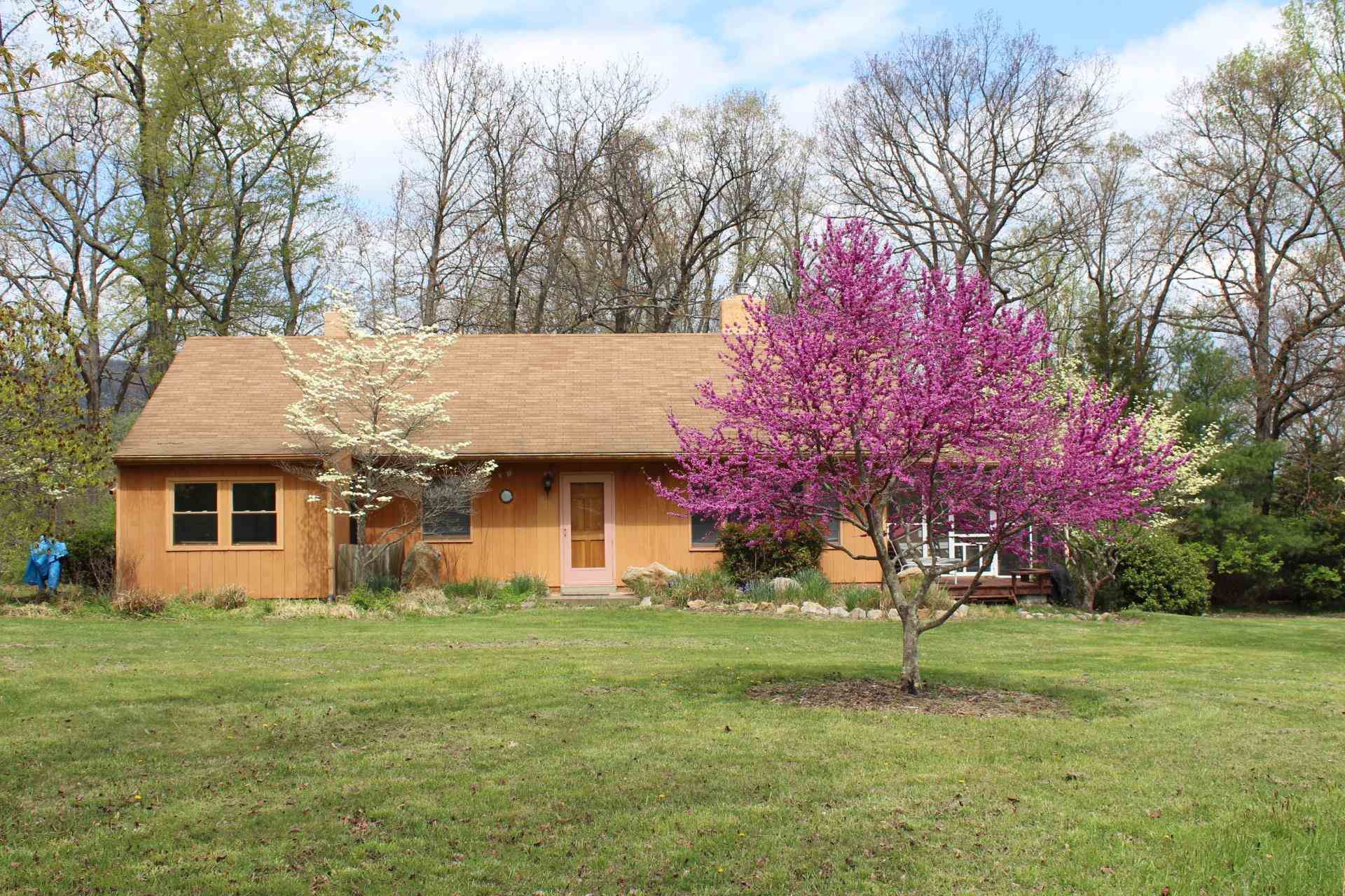 1076 Fort Valley Road Fort Valley, VA 22652 - Photo 8 of 54 a house that has a tree in front of it