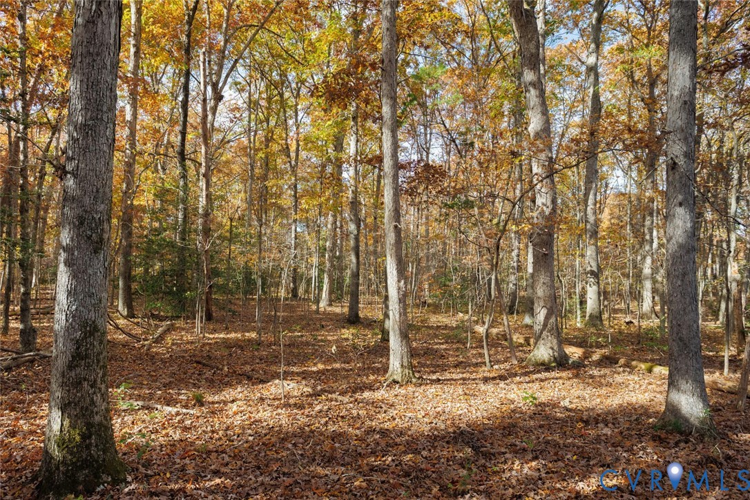 Lot 2 Maidens Road Maidens, VA 23102 - Photo 27 of 35 View of wooded area