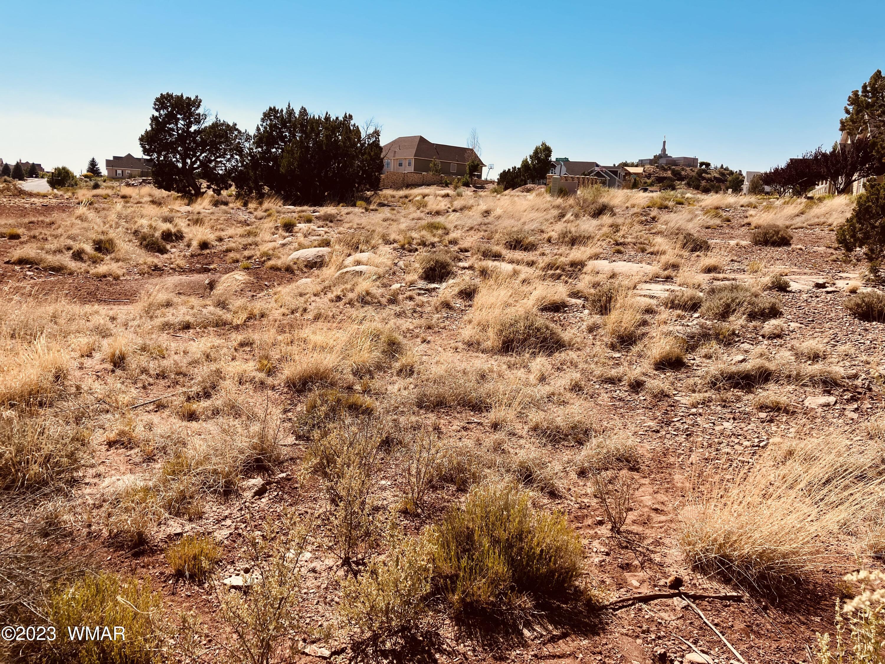 Lot 181 Prairie Road Snowflake, AZ 85937 - Photo 2 of 3
