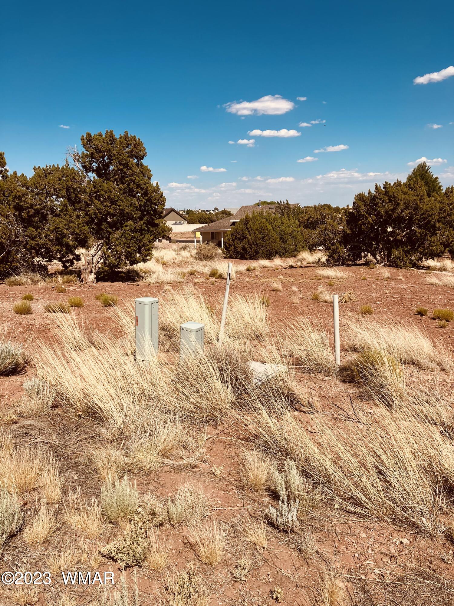 Lot 181 Prairie Road Snowflake, AZ 85937 - Photo 3 of 3