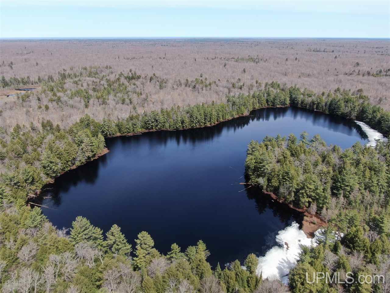 0 Old Seney Road Seney, MI 49883 - Photo 15 of 31