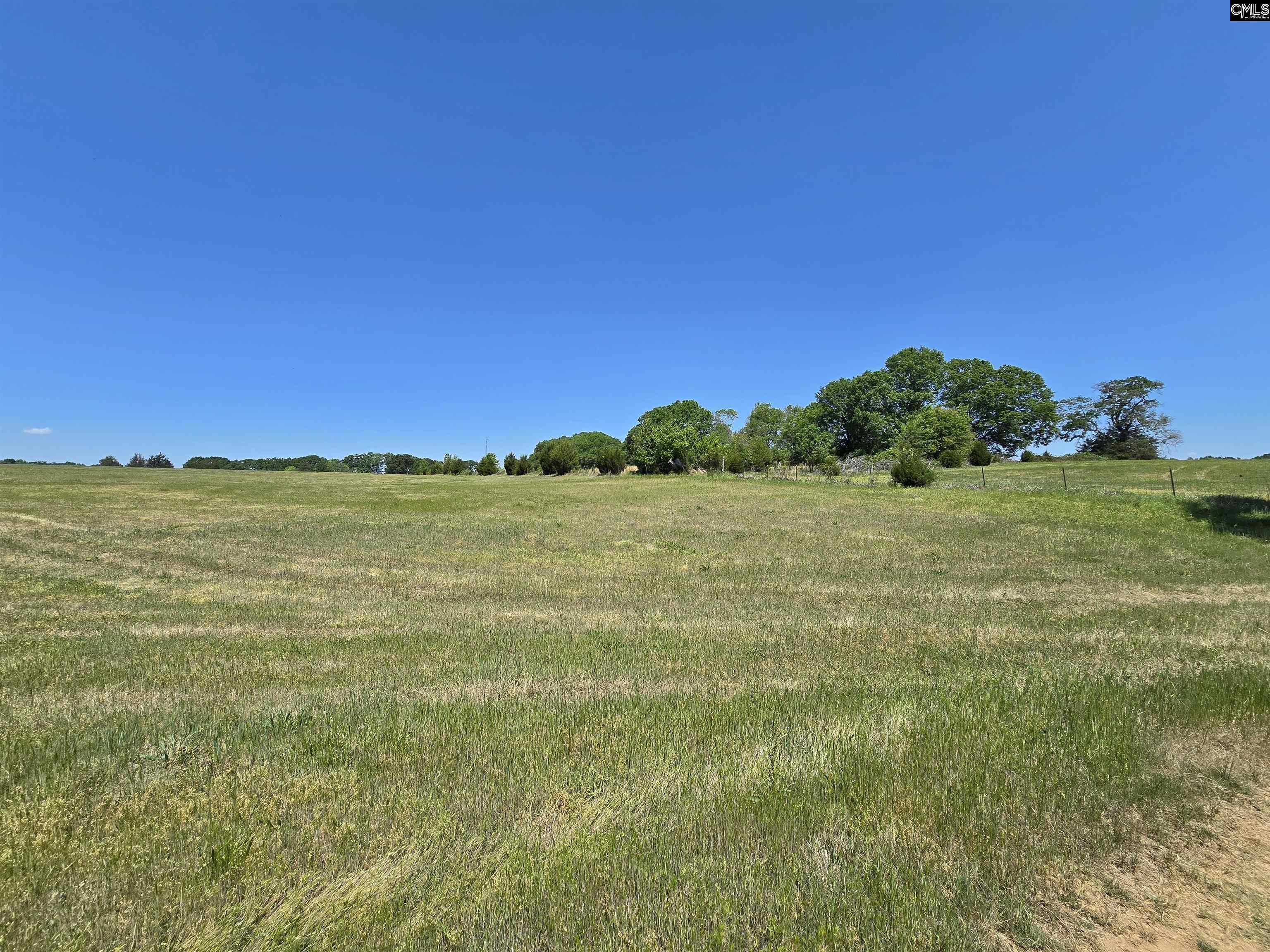 542 Pea Ridge Highway Jonesville, SC 29353 - Photo 16 of 72