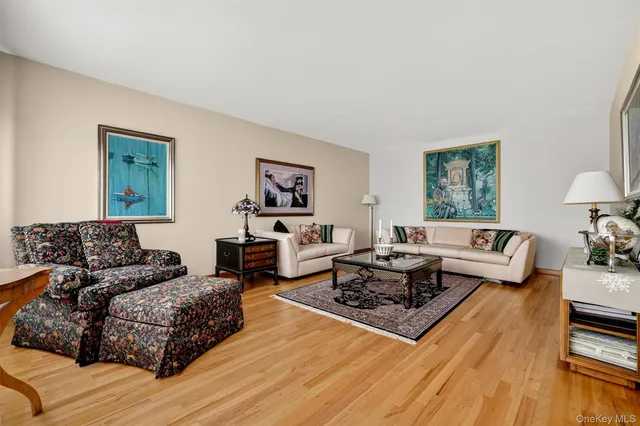 a living room with furniture rug and window