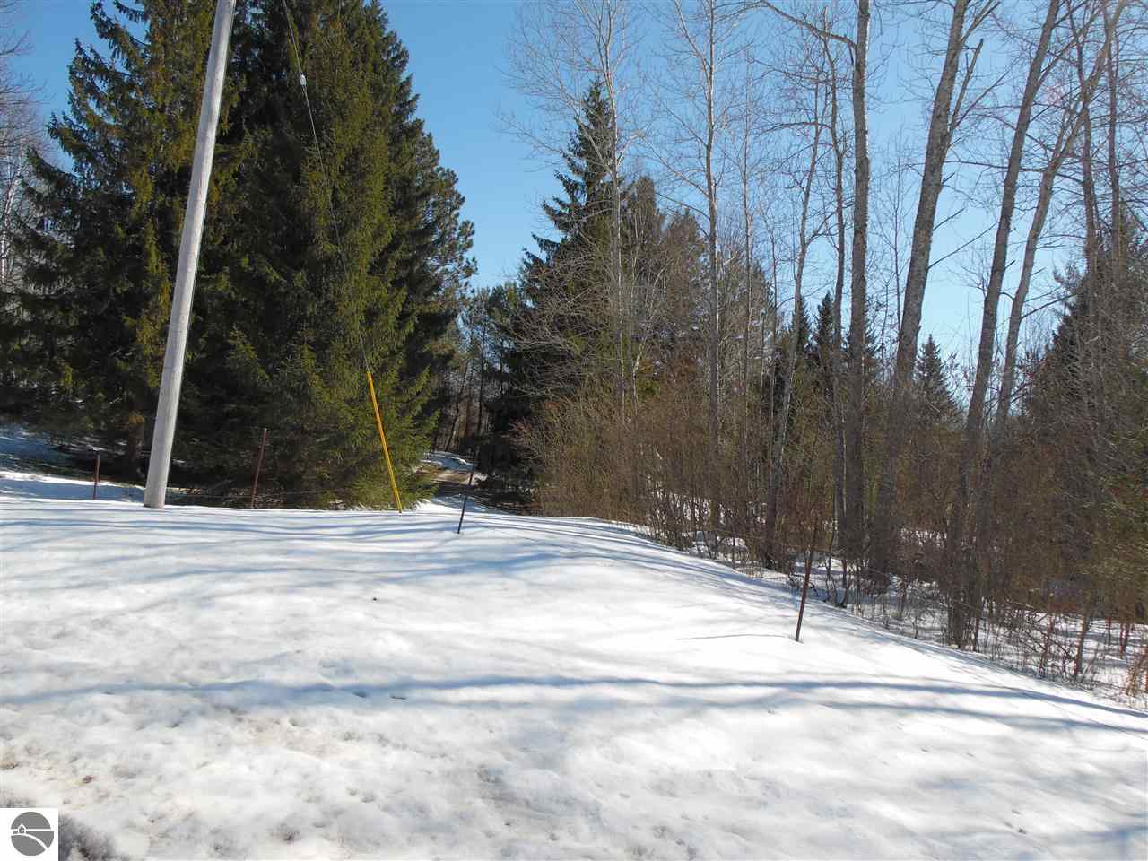 5490 Breen Road South Branch, MI 48761 - Photo 39 of 40 1795942-38.JPG