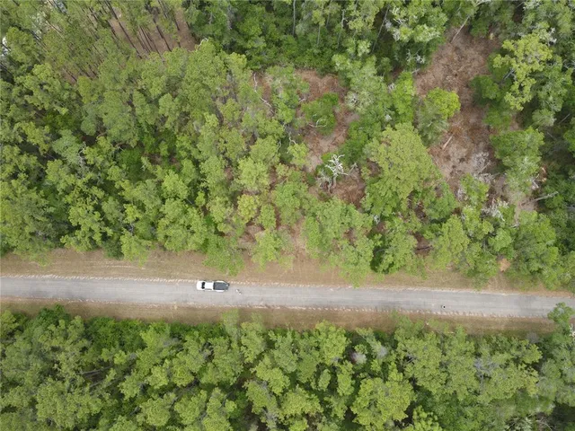 a view of a garden with a bench