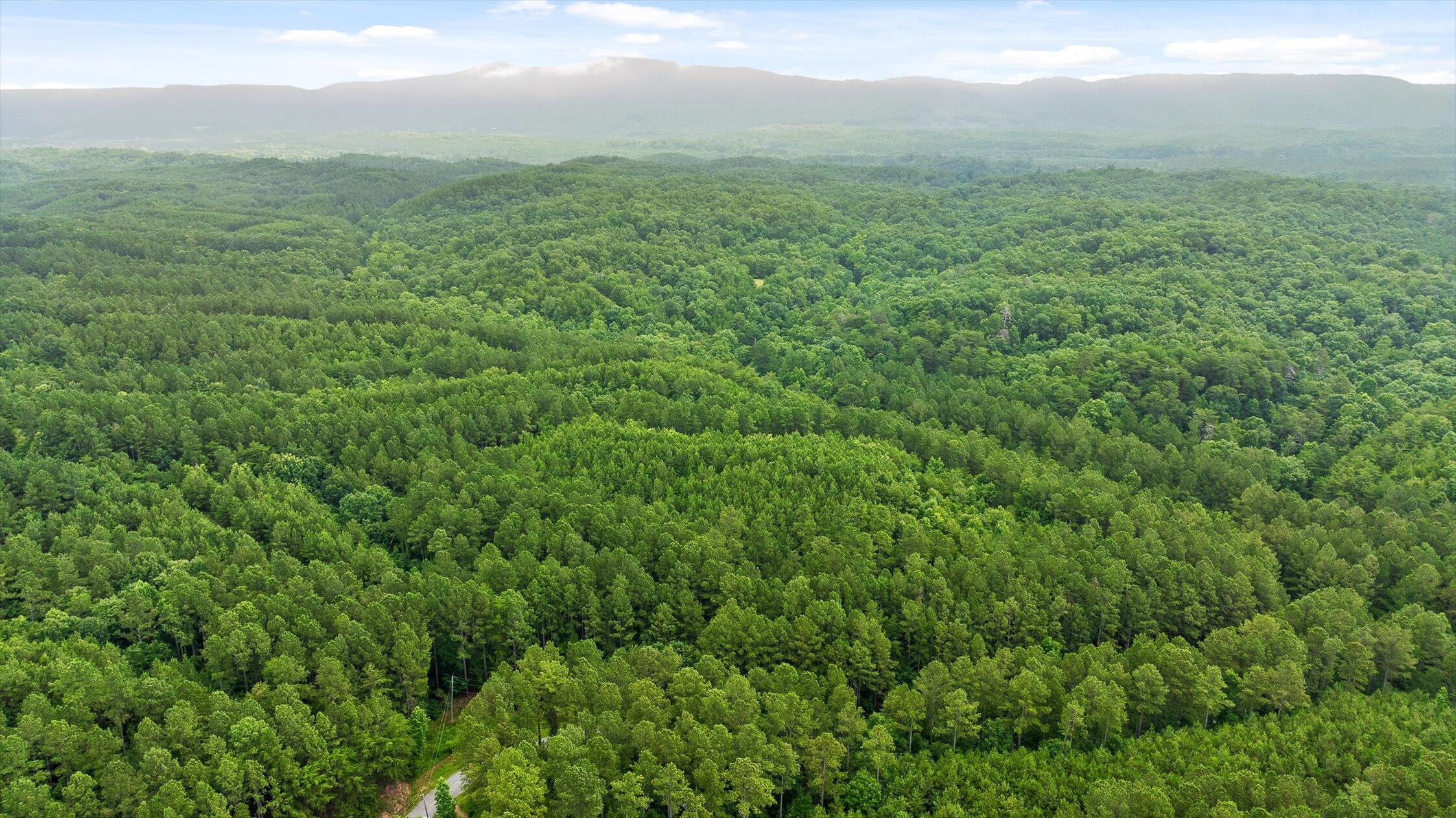 Tr 4-b-2 Conniston Road Chatsworth, GA 30705 - Photo 11 of 18 01-Track 2-12