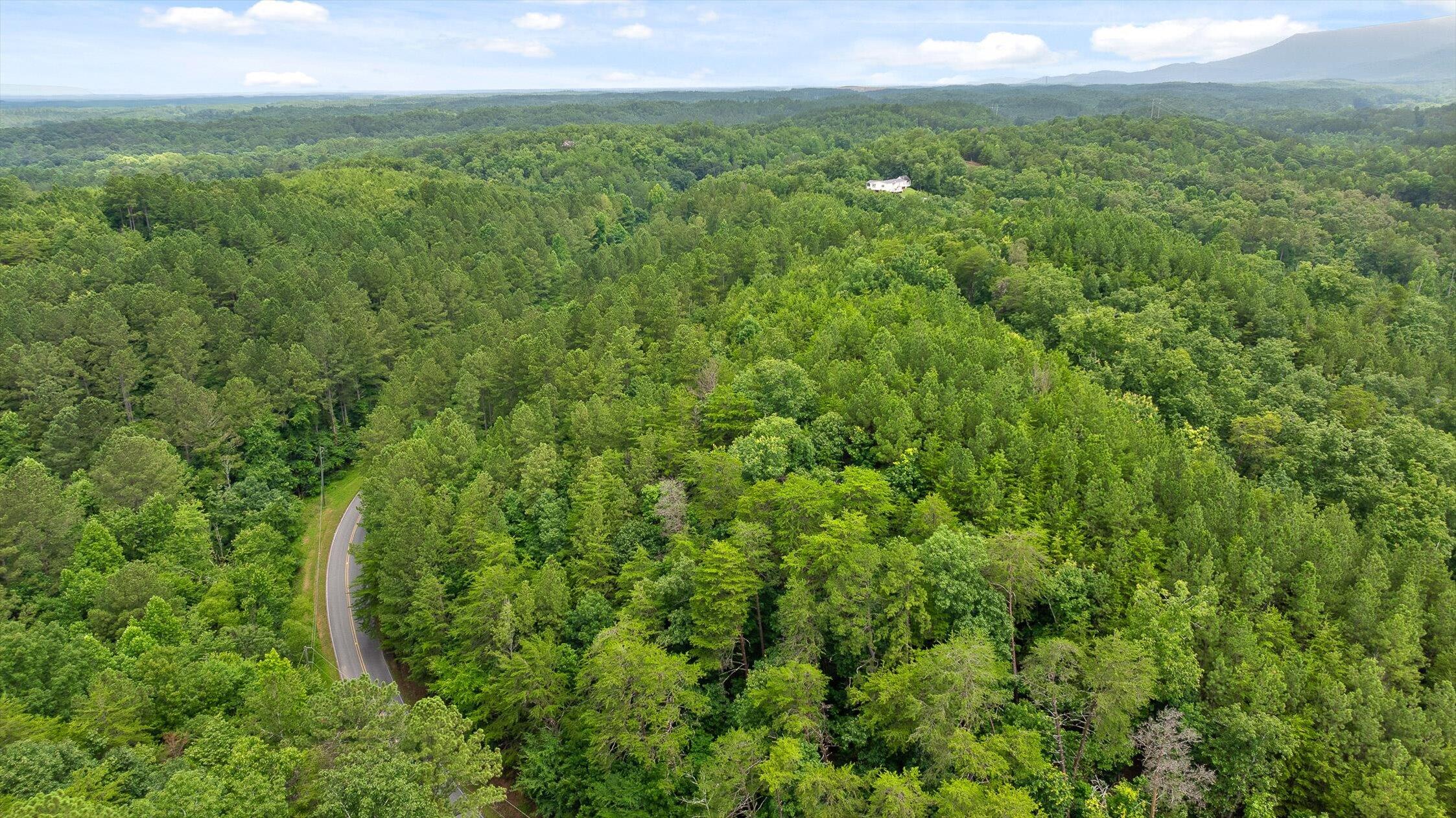 Tr 4-b-2 Conniston Road Chatsworth, GA 30705 - Photo 17 of 18 13-Track 4a-20