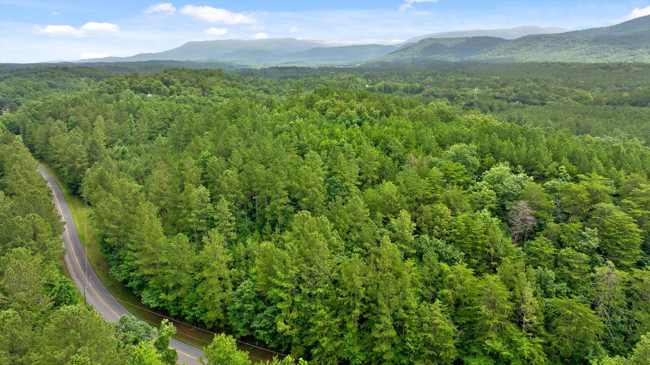 Tr 4-b-2 Conniston Road Chatsworth, GA 30705 - Photo 18 of 18 14-Track 4a-21