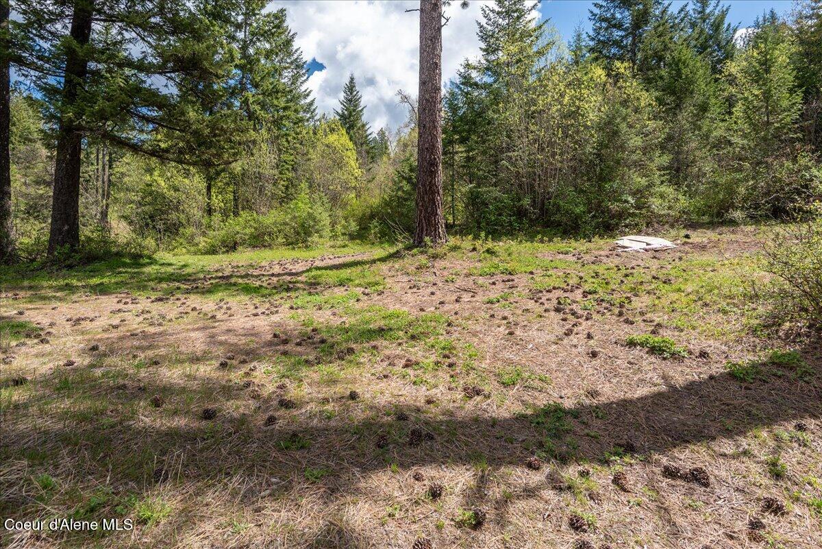 Nna North Corbin Hill Road Athol, ID 83801 - Photo 20 of 25 19-DSC_5620